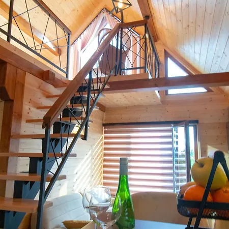 Villa Tara Vista Cabin Zaovine